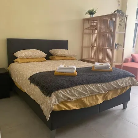 Sunlit Artist Belgrad