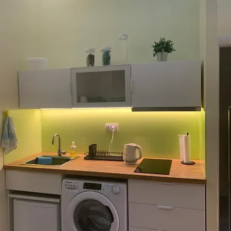 Sunlit Artist * Belgrad